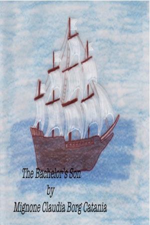 Cover of the book The Bachelor's Son by Sarah Butland