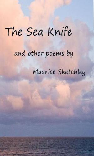 Cover of the book The Sea Knife by Jennifer Bradbury
