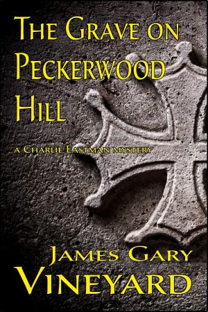 Book cover of The Grave on Peckerwood Hill