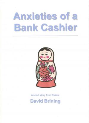 Cover of Anxieties of a Bank Cashier