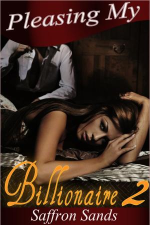 Book cover of Pleasing My Billionaire 2 (BDSM Erotic Romance)