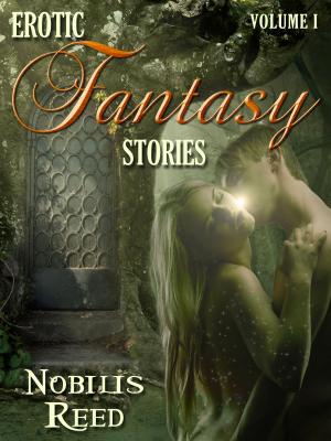 Book cover of Erotic Fantasy Stories, Volume 1