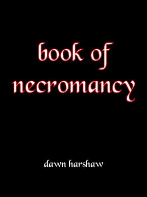 Cover of the book Book Of Necromancy by Matthew J. Wellman