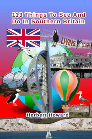 Book cover of 113 Things To See And Do In Southern Britain