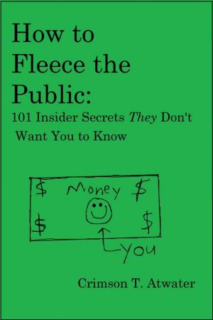 Cover of the book How to Fleece the Public by Fabienne Siegmund