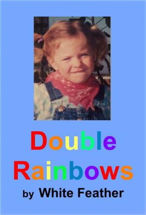 Book cover of Double Rainbows