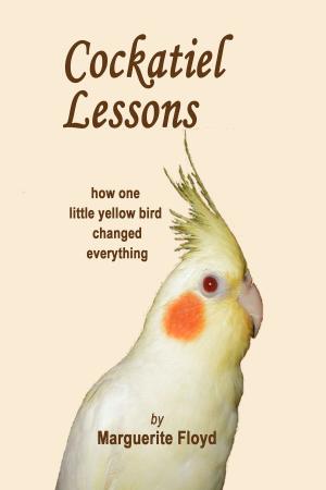 Book cover of Cockatiel Lessons