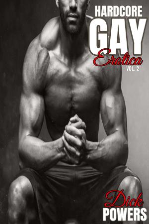 Book cover of Hardcore Gay Erotica Vol. 2