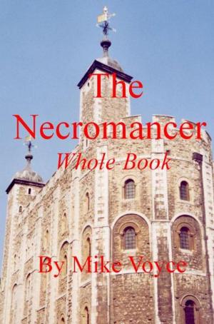 Book cover of The Necromancer Whole Book