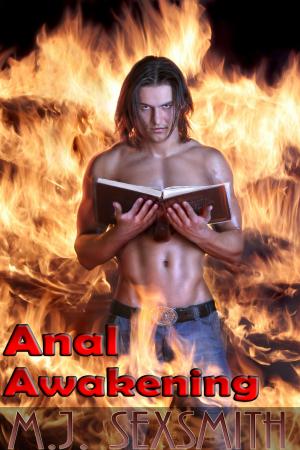 Cover of the book Anal Awakening by Camilla Chafer