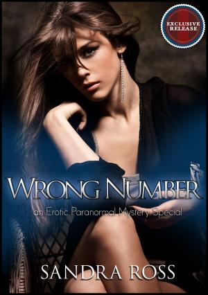 Cover of the book Wrong Number by Skye Jones