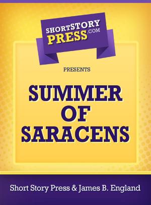 Cover of the book Summer of Saracens by Brent Miller