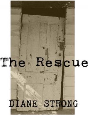 Cover of the book The Rescue (The Running Suspense Series #4) by Melissa Skaye
