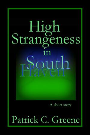 Book cover of High Strangeness in South Haven