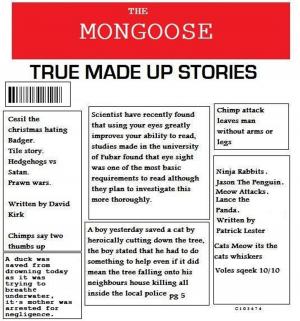 Cover of True Made Up Storys