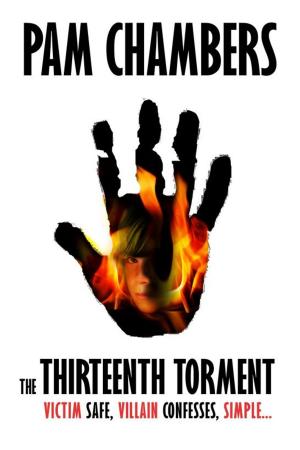Cover of the book The Thirteenth Torment by Danilo Catalani