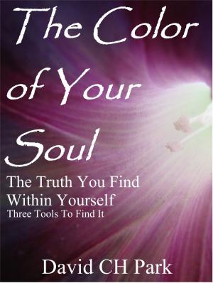Book cover of The Color of Your Soul