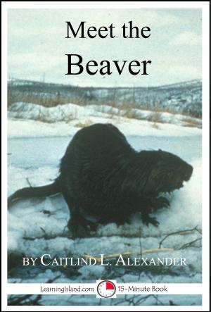 Cover of the book Meet the Beaver: A 15-Minute Book for Early Readers by Cullen Gwin