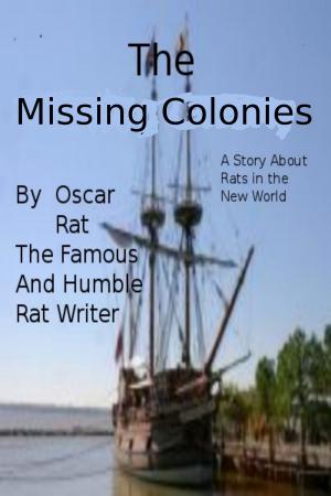 Cover of the book The Missing Colonies by Bill Schroeder
