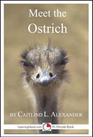 Cover of the book Meet the Ostrich: A 15-Minute Book for Early Readers by J.C.Blumen Violett