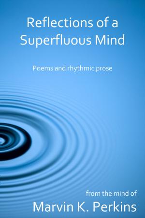 Cover of the book Reflections of a Superfluous Mind by Lulu England