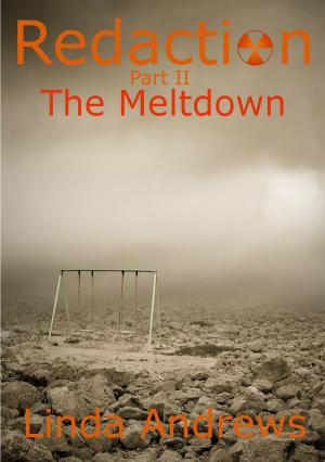 Book cover of Redaction: The Meltdown Part II