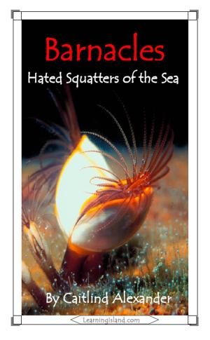 Cover of the book Barnacles: Hated Squatters of the Sea by Jeannie Meekins