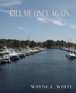bigCover of the book Kill Me Once Again by 