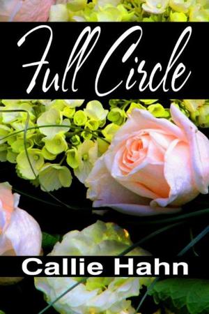 Cover of the book Full Circle by Kassie Casey