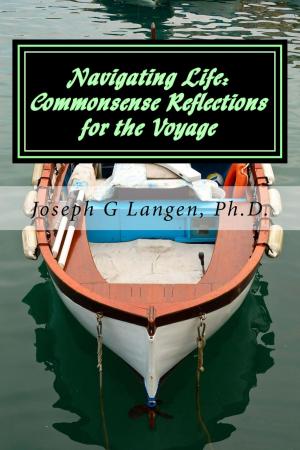 Book cover of Navigating Life: Commonsense-Reflections for the Voyage
