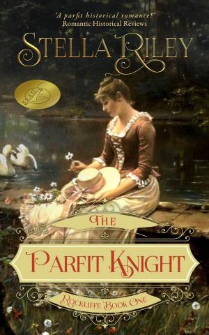 bigCover of the book The Parfit Knight by 
