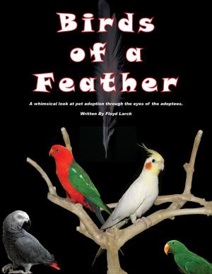 Cover of the book Birds of a Feather by Morgan St. James