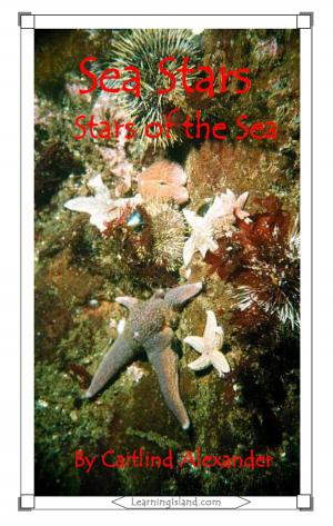 Cover of the book Sea Stars: Stars of the Sea by Jeannie Meekins