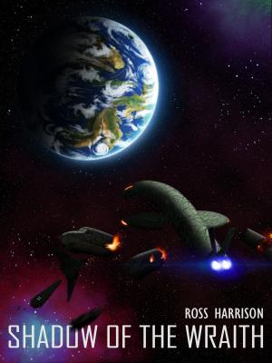 Cover of the book Shadow of the Wraith by L.A. Miller