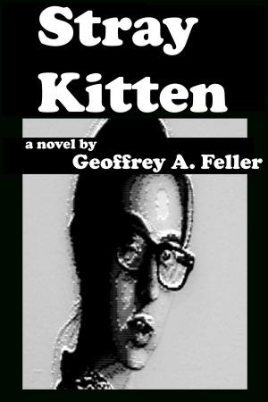Book cover of Stray Kitten