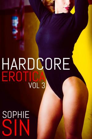 Book cover of Hardcore Erotica Vol. 3