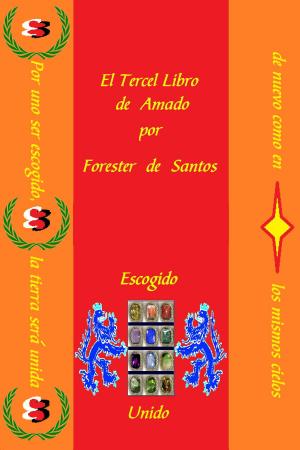 Cover of the book El Tercer Libro de Amado by John McKinstry