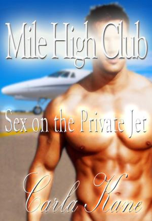 Cover of the book Mile High Club: Sex on the Private Jet by Crystal De la Cruz
