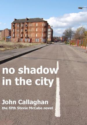 bigCover of the book No Shadow In The City by 