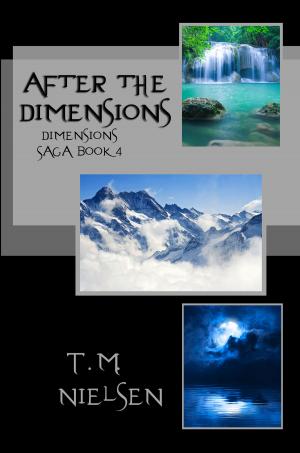 Cover of the book After the Dimensions by T.M. Nielsen