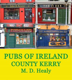 Cover of the book Pubs of Ireland County Kerry by Alastair Scott