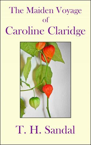 Book cover of The Maiden Voyage of Caroline Claridge