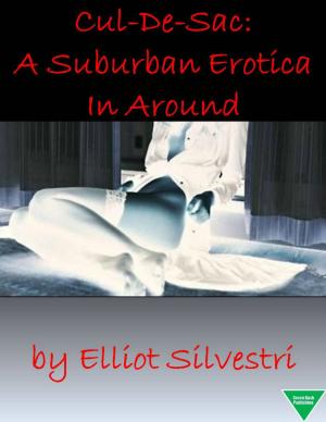 Cover of Cul-De-Sac: A Suburban Erotica In Around