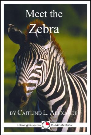 Cover of the book Meet the Zebra: A 15-Minute Book for Early Readers by Loretta Kemsley