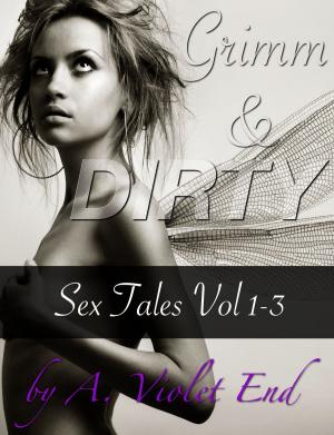 Book cover of Grimm & Dirty Sex Tales, Vol 1-3