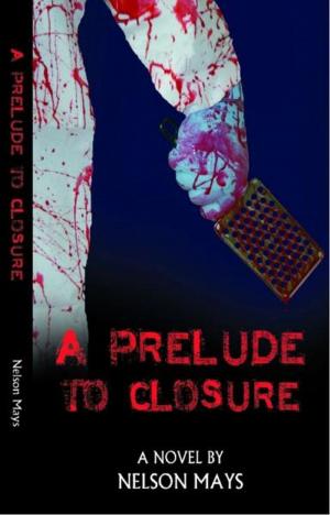 bigCover of the book A Prelude to Closure by 