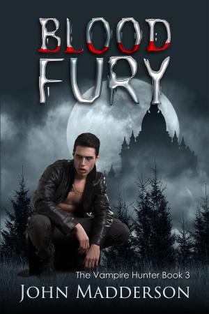 Cover of the book Blood Fury by Dawn Gray