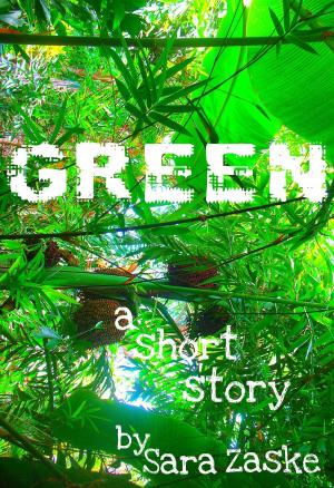 Cover of the book Green, a short story by Chaim Walder