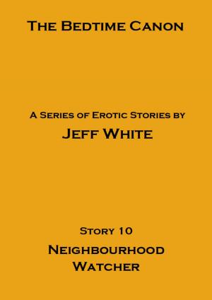 Book cover of Neighbourhood Watcher
