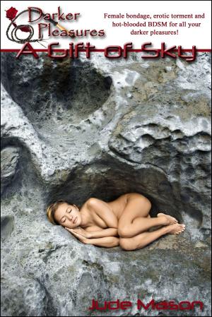 Cover of the book A Gift of Sky by Pat Cole